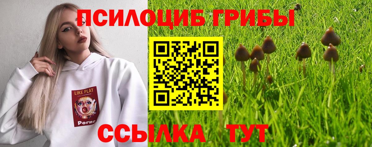 Псилоцибиновые грибы Cubensis  Вход с VPN  Сорочинск 